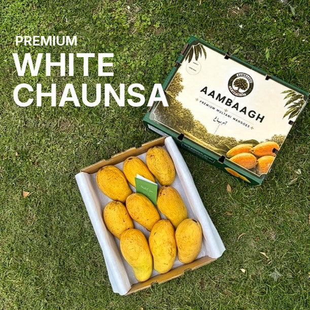 Premium White Chaunsa Mango