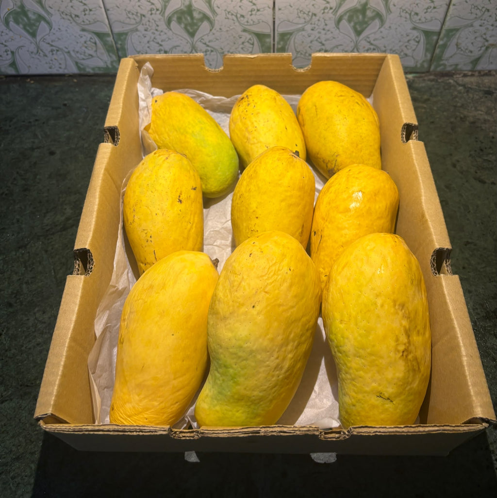Premium Sindhri Mango