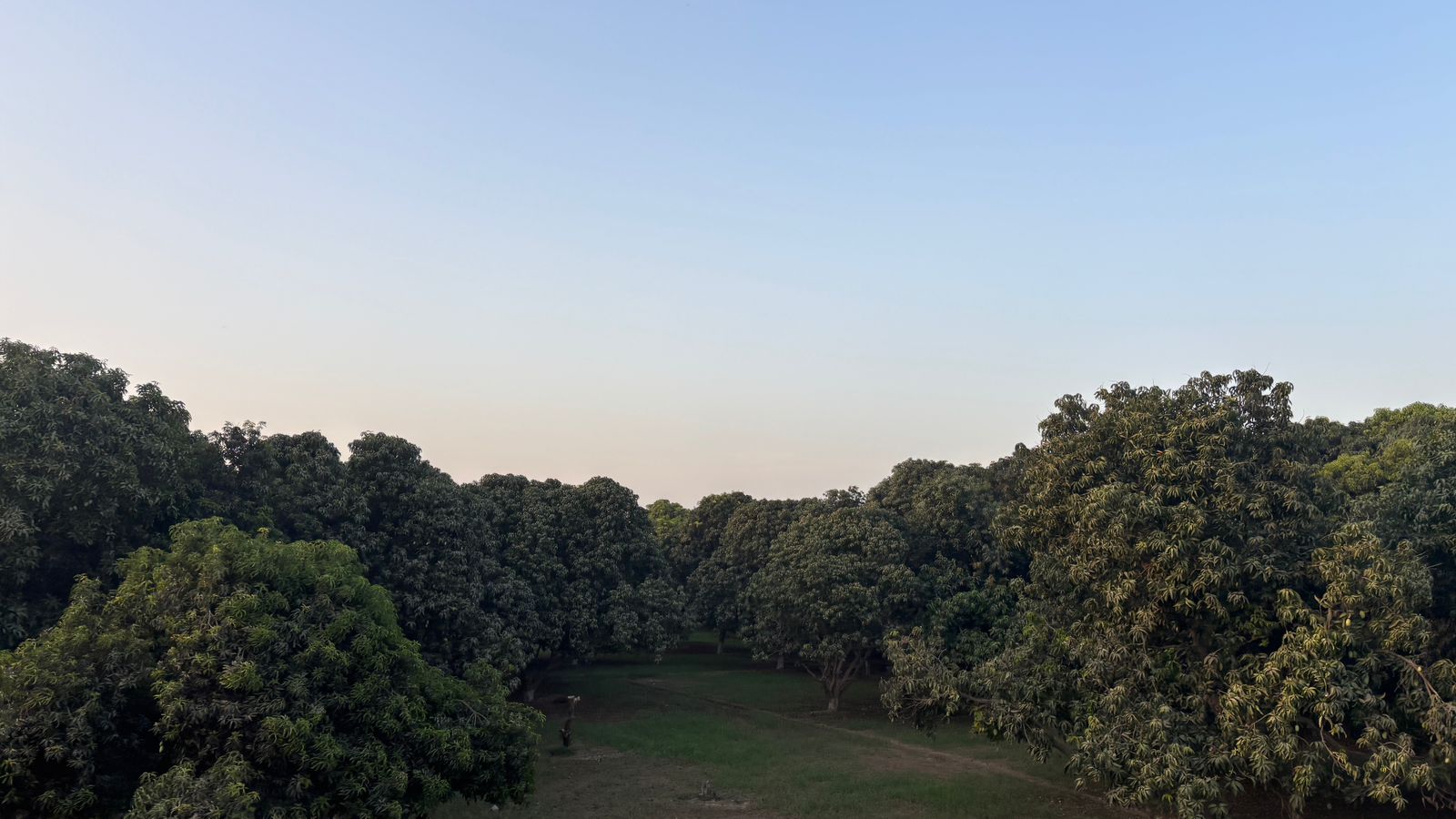 AAMBAAGH orchards in Multan